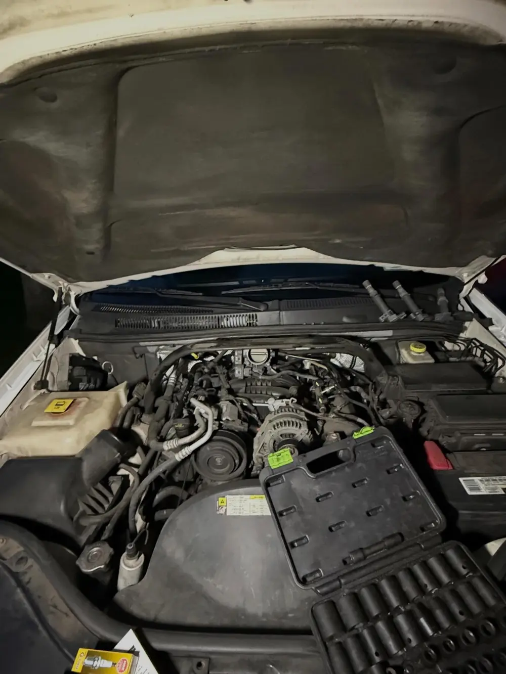 Engine bay work, performance and mechanical mods